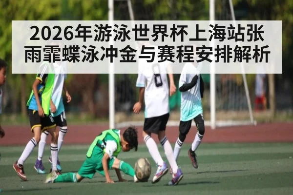 2026年游泳世界杯上海站张雨霏蝶泳冲金与赛程安排解析
